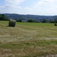 Pfälzer Bergland