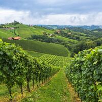 sommer-in-der-suedsteiermark (1).jpg