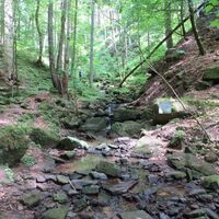 Naturpark-Augenblick-Runde Holzbronn_Veraschlungener Pfad durch die Xanderklinge