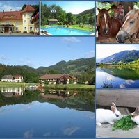 Sommer am Talhof in Kärnten