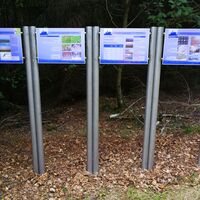 Niederschlag fallend + abgesetzt