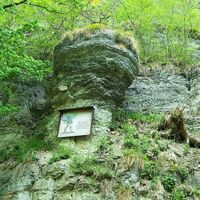 Bauernkanzel - Falken