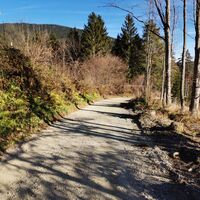 Auf dem Mautnerweg hinunter zur Landstrasse