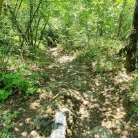10.8 km Rumpelpiste (Schiebestelle)