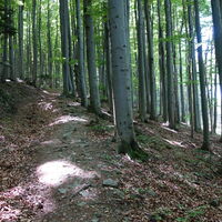 Aufstieg Schöpfl