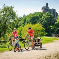 LEMBACH Schloss Fleckenstein