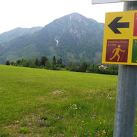 Alle 3 Runden zu beginn gleich