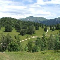 Wiesen am Passo Nota