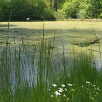 Von der Remptendorfer Bucht nach Isabellengrün