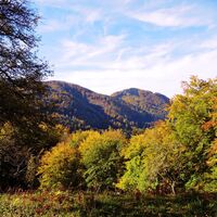 St. Pauler Berge im Herbst