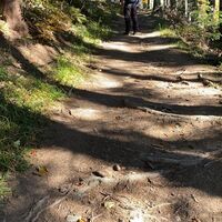 Nach dem Forstweg und Zaun