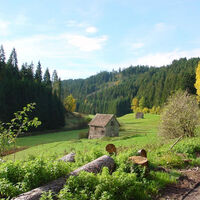 Zinsbachtal