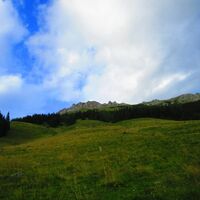 Hohe Veitsch