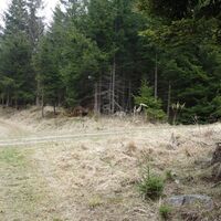 Wegkreuzung am Ende des Jauerlingsteiges