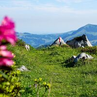 Toggenburger Höhenweg Etappe2 Wanderweg