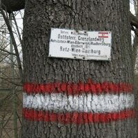 Nationalpark Donauauen