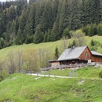 21.5 km Zeiringer Alm