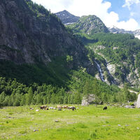 Val Calnègia