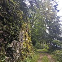 Waldweg