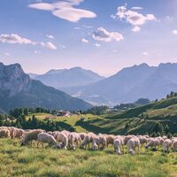 Pozza - Buffaure ©Archivio APT Val di Fassa