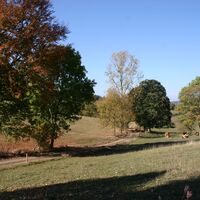 Wiesenweg