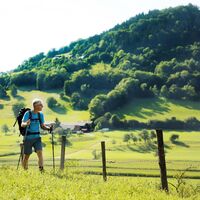 Weg zur Andreaskirche in Kirchberg an der Pielach