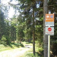 Route 58 - Wexl Trails