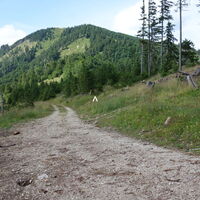 rechts in den Steig