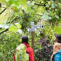 Gut beschildert: Der Wanderweg "Rund um Dalem"