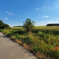 Altmarkrundkurs zwischen Hansestadt Salzwedel und Arendsee