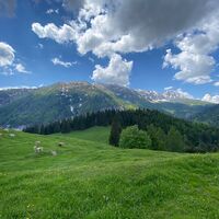 Waisacher Alm