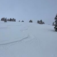Tiefschneespuren am Stuhleck, Joglland-Waldheimat in der Oststeiermark