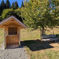 Bernau im Schwarzwald Zu den Glanzpunkten über dem Hochtal (8)