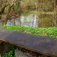 Kleiner Teich