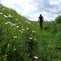 Biodiversität entlang der Wanderung
