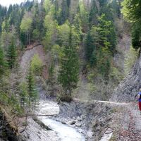 Wanderung Schraubachtobel