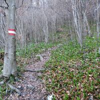 Der Einstieg zum Wanderweg