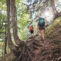 Scheffau_Wilder-Kaiser-Steig_Wilder Kaiser