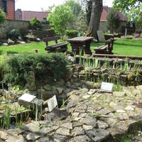 Bibelgarten