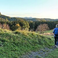 Wir wandern auf die Burg zu