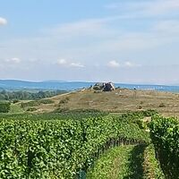 Bike Buddies Burgenland