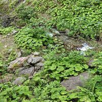 Steiler Aufstieg durch den Lahngraben