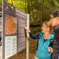 Der Teufelstein bei Frankelbach