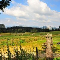 Blick über den Almboden