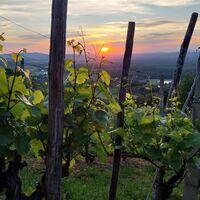 Weinberg
