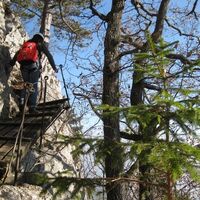 Hanselsteig, Hohe Wand