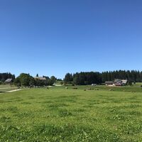 Schönwald - Blick auf Escheck