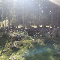 Verfallene Alm am Wegesrand.