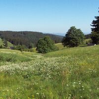 Blick von der Gutenhöhe ins Prisental