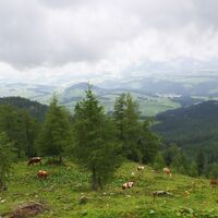 Ausblick auf Abtenau
